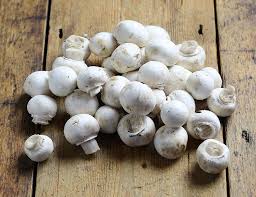 Mushrooms - must-have foods for winter