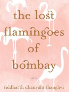 The lost flamingoes of bombay