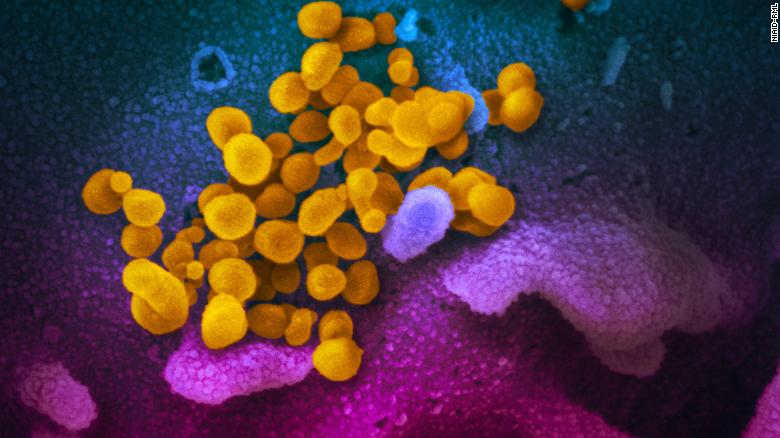 Novel Coronavirus Covid-19