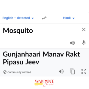 Mosquito: translation 