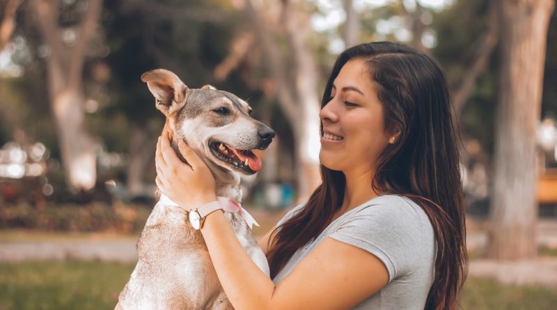 Humans clearly love their dogs more than other humans