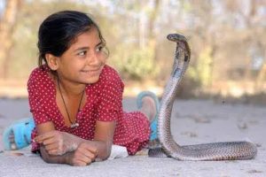 The doorless village of maharastra,  unique villages of India