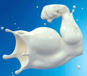 Both cow and bufffalo milk promote bone health