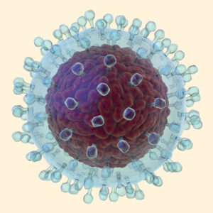 Illustrative image of hepatitis C virus