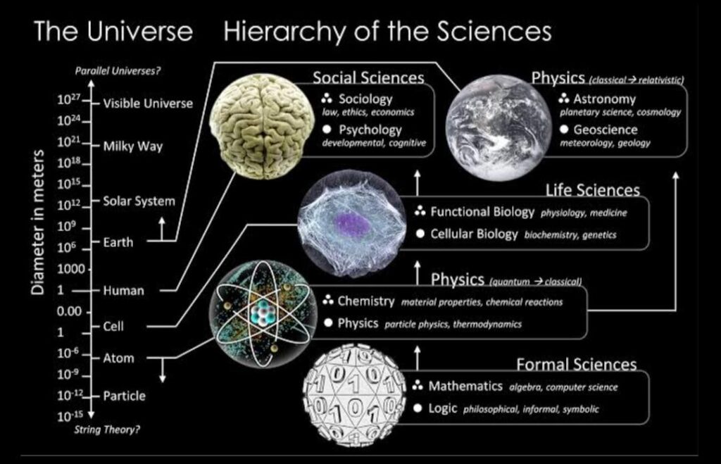 Fields Of Science