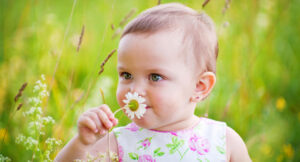 Our sense of smell develops before birth.
